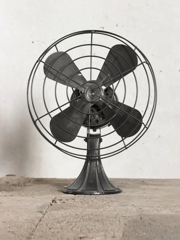 Vintage Fan (Decorative)