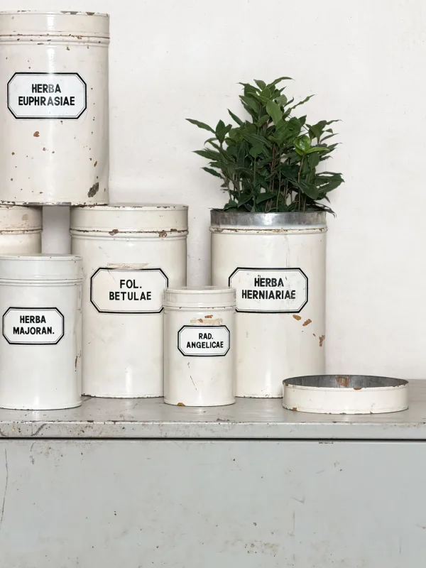 Nostalgische Apothekerdosen 6-er Set