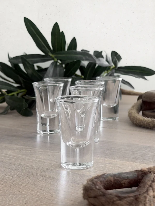 Schnapsgläser 6-er Set